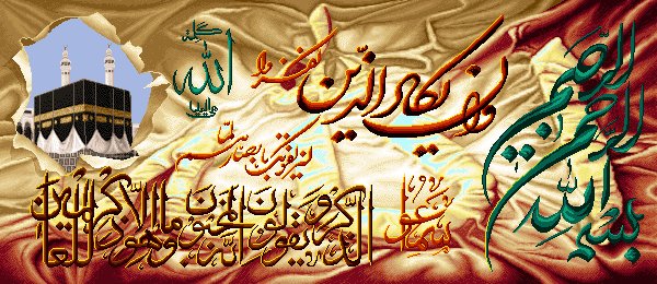 B2_260