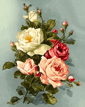 C1_275-2